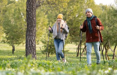 Yürüyüşçüler doğa yürüyüşünden zevk alıyorlar, yürüyüş direkleri ve sırt çantaları kullanıyorlar.