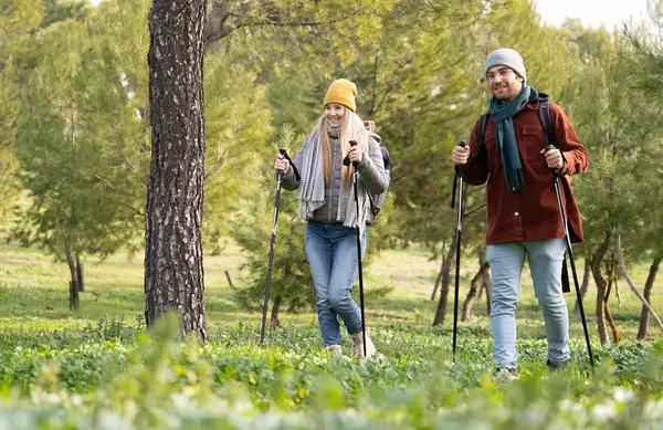 Yürüyüşçüler doğa yürüyüşünden zevk alıyorlar, yürüyüş direkleri ve sırt çantaları kullanıyorlar.