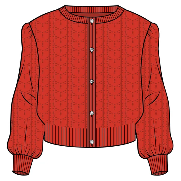 Damski Sweter Wektor Izolowany Białym Tle — Wektor stockowy