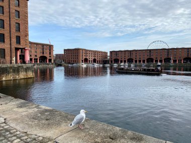 Albert dock Liverpool: Liverpool ve İngiltere 'de ünlü yerler