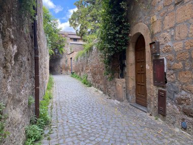 Charming cobblestone alley in ancient European town. Stone walls with wooden door and climbing plants. Narrow medieval street with rustic architecture and atmospheric lighting. clipart