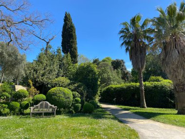 Dolambaçlı yolu olan sakin bir Akdeniz bahçesi. Manikürlü çalı çalıları, uzun selvi ağaçları ve palmiye ağaçları. Yeşilliklerin arasına yerleştirilmiş ahşap bank. Tepemizde parlak mavi gökyüzü.