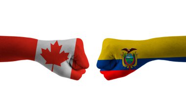 Ekvador - Kanada el bayrağı Adam ellerini futbol dünya kupasına koydu