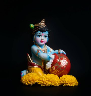 Hindistan safra kesesi festivali Mutlu Shree Krishna janmashtami
