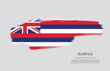 Hawaii Eyaleti bayrağı. Amerika Birleşik Devletleri