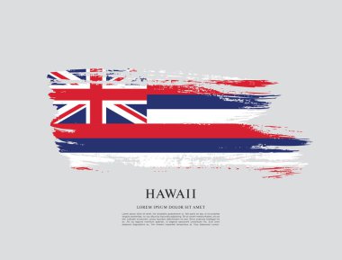 Hawaii Eyaleti bayrağı. Amerika Birleşik Devletleri