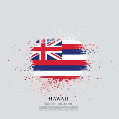 Hawaii Eyaleti bayrağı. Amerika Birleşik Devletleri