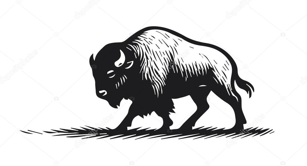 Silhouette of the wild bison animal nature vector illustration
