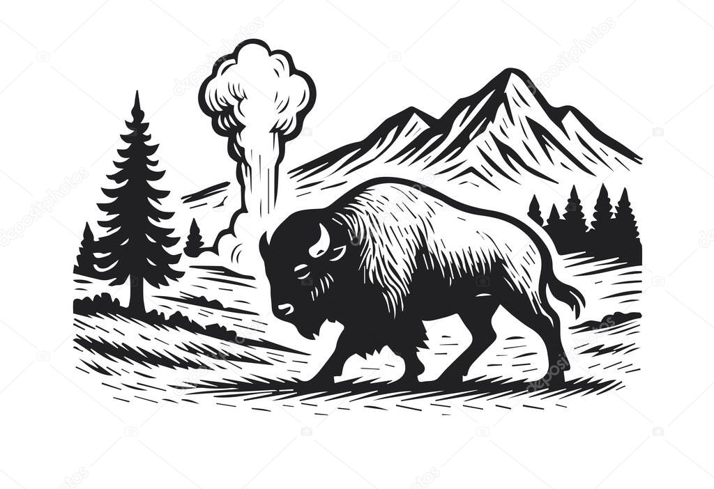 Yellowstone national park vector illustration