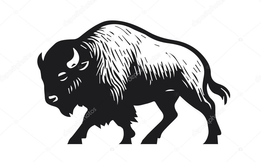 Silhouette of the wild bison animal nature vector illustration