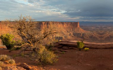 Utah 'taki Canyons Ulusal Parkı, mavi gökyüzü ile Canyons Ulusal Parkı