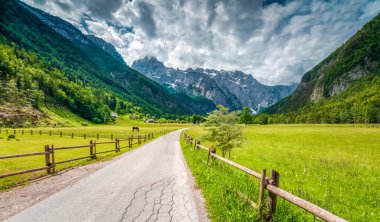 Bir dağa giden güzel bir yol, çevresi yeşillik ve dağlarla çevrili bir yol.