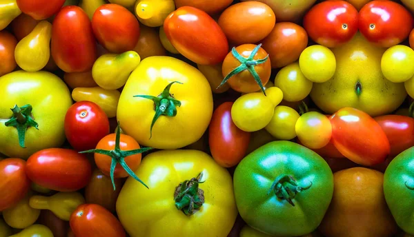Nahaufnahme Von Vielen Frischen Tomaten Roten Und Grünen Tomaten — Stockfoto