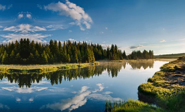 Вид Природу Национальном Парке Сьера Озеро Соснами Голубым Небом Несколько — стоковое фото