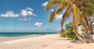 Palmiye ağaçları ve kayaları olan plaj Praslin adasındaki Anse Lazio plajı, sahil yaşam tarzı, mavi lagün ve palmiye ağaçları olan plaj HD