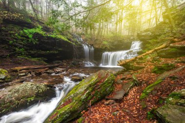 Küçük bir şelale ve yeşil ağaçlar, ormanda küçük, gizli bir şelale.. 