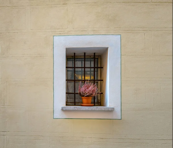 Foto Von Minimalistischen Fenstern Ein Blumentopf Der Fassade Eines Fensters — Stockfoto