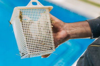 Havuz filtresi sepetini temizleyen işçi. Yüzme havuzu bakımı ve temizlik konsepti