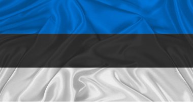 Kumaş desenli Estonya bayrağı. Sallanan Estonya 'nın gerçekçi bayrağı