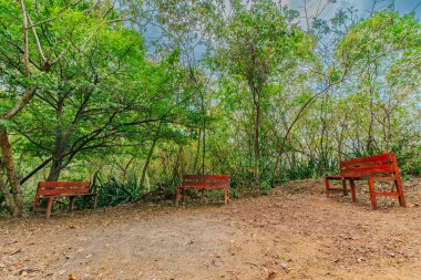 Huzur Ormanı 'ndaki Serene Red Benches. Sessiz Ormanların Ortasında Huzurlu Kırmızı Koltuklar