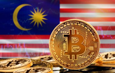 Malezya 'daki kripto para birimi ve engelleme teknolojisi yatırımcıları. Arka planda Malezya bayrağı olan Bitcoin