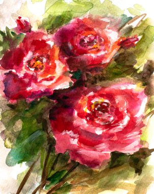 Çiçekli suluboya güzel güller boyuyor. Suluboya çiçek resmi. Tasarım ya da baskı için çiçek arkaplanının el çizimi çizimi. Kart. Düğün davetiyesi şablonu.