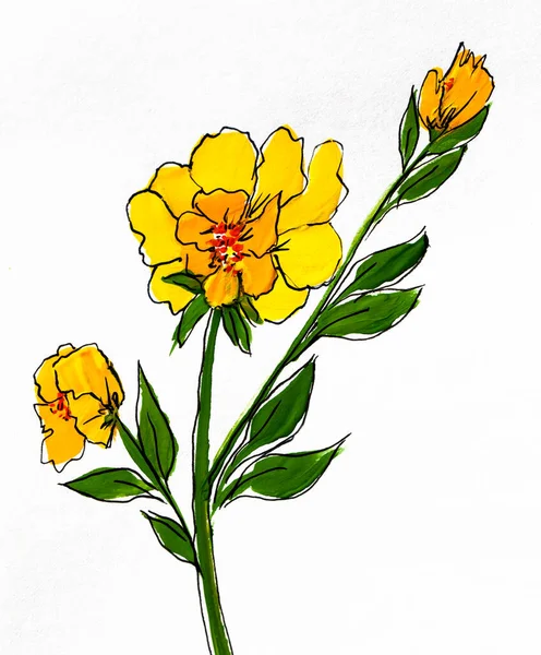 Kytice Žlutých Akrylových Květin Bílém Pozadí Ilustrace Květinové Pozadí Nebo — Stock fotografie
