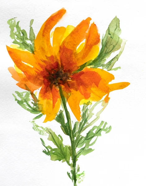 Dekorativní Akvarel Květinové Pozadí Akvarelové Květiny Žlutá Květina Květinové Ilustrace — Stock fotografie