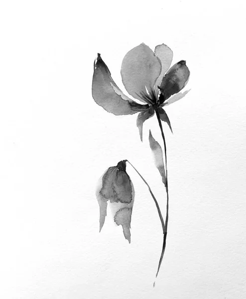 Dekoracyjne Tło Akwarela Kwiat Akwarelowe Kwiaty Różowy Kwiat Ilustracja Kwiatowa — Zdjęcie stockowe