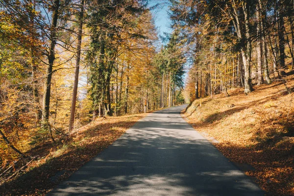 秋の間のオーストリアのカリンシア州の山岳道路 ストック写真
