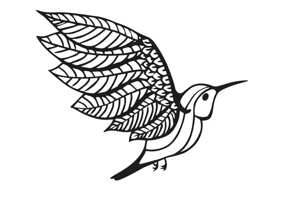 Kolibřík Izolovaný Bílém Pozadí Linie Výtvarné Ilustrace Téma — Stock fotografie