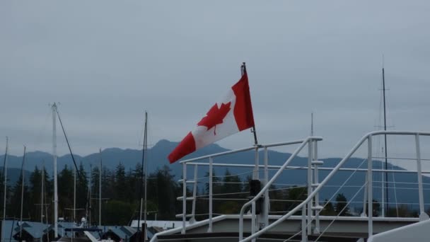 カナダの国旗は暗い灰色の曇りの日に風を振る — ストック動画