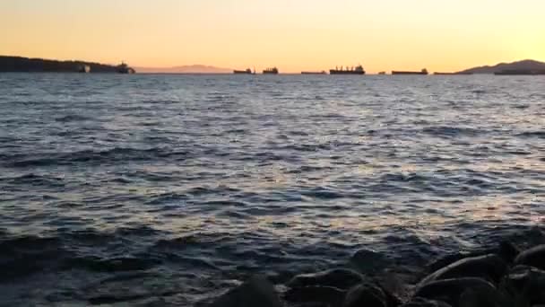 Puerto Oceánico Después Del Atardecer Por Noche Olas Chocando Contra — Vídeo de stock