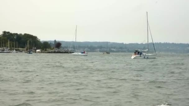 Yachten Segeln Einem Bewölkten Tag Der Bucht Boote Auf Dem — Stockvideo