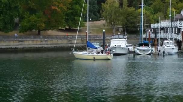 Yacht Sailing Harbor Boats Parking Beautiful Summer Day — Stock Video