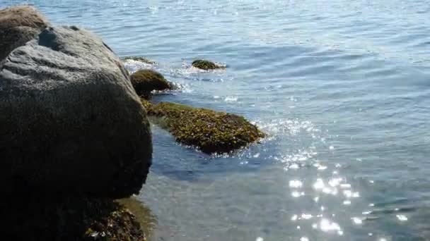 輝く海の中の太陽の光の反射 海岸の岩と穏やかな波 — ストック動画