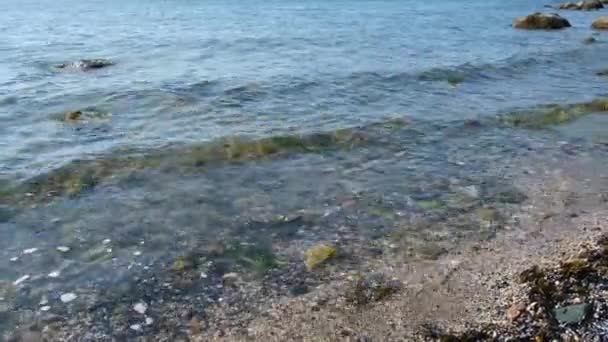 Zeekust Dicht Kalme Oceaan Water Golven Spetteren Rotsachtige Strand — Stockvideo