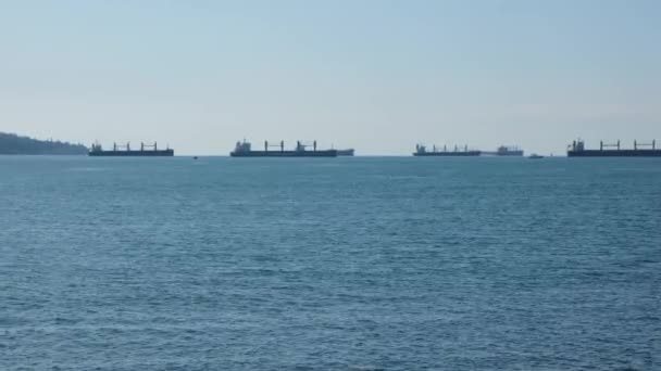 Tankers Aan Horizon Zeezicht Met Verschillende Soorten Schepen Haven — Stockvideo