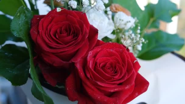 Букет Двох Красивих Червоних Троянд Зеленого Листя Білих Квітів — стокове відео