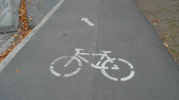 在沥青路面上的自行车道标志上有转弯箭头 落叶在侧边 — 图库照片