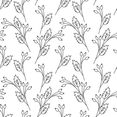 Taslak gül dallarından sonsuz desen. Soyut arkaplan dokusu. Boyama sayfası. İzole et. Pankart, duvar kağıdı ve web için dış katman, poster veya kart, selamlama, davetiye, etiket, fiyat. EPS