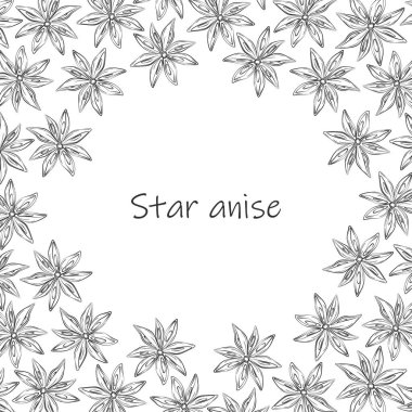 Harfli yıldız anasonlu ve etrafındaki kuru anason yıldızlı soyut yuvarlak çerçeve. Bitkiler ve Baharatlar Günü. İzole et. Paketleme, duvar kağıdı, etiket ya da etiket, afiş ya da internet için tasarım. EPS