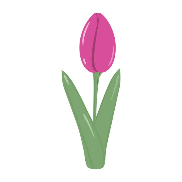 İzole edilmiş, parlak pembe lale çiçeği moda yumuşak gölgelerde buket için. Springime. Çıkartma. Simge. EPS. Poster, afiş, broşür, selamlama veya kartlar, fiyat etiketi, etiket veya web için vektör tasarımı 