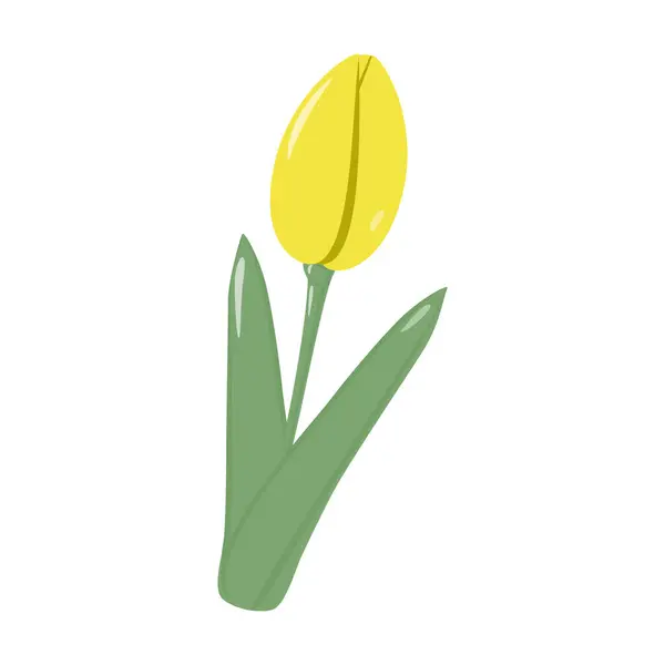 Izolowany Kwitnący Żółty Kwiat Tulipana Bukietu Modnych Miękkich Odcieniach Springime — Wektor stockowy