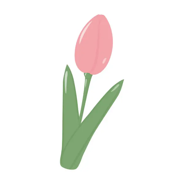 Изолированный Цветущий Мягкий Розовый Цветок Тюльпана Букета Модных Тонах Весна — стоковый вектор