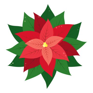 Kutlama için Poinsettia Çiçeği İllüstrasyonu Parlak gölgelerdeki Pazarlama Malzemeleri EPS Vector Kartlarını, posterleri, afişleri, broşürleri, davetiyeleri, fiyat etiketlerini, etiketlerini veya internetlerini, tanıtım fikirlerini izole edin