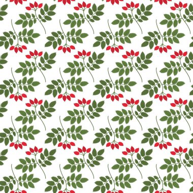 Böğürtlenli ve yapraklı Rosehip, modaya uygun yumuşak gölgelerde, botanik arka planda, doku EPS Vektör Paketleme, duvar kağıdı, paketleme veya ağ, posterler, fiyat etiketi, etiket, promo tasarım fikrini izole et