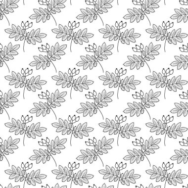 Böğürtlenli ve yapraklı Rosehip Kusursuz desenli Tek Renkli Taslak El botanik arkaplan EPS Vektör Paketleme, duvar kağıdı, paketleme veya ağ, posterler, fiyat etiketi, etiket, tanıtım tasarımı fikri