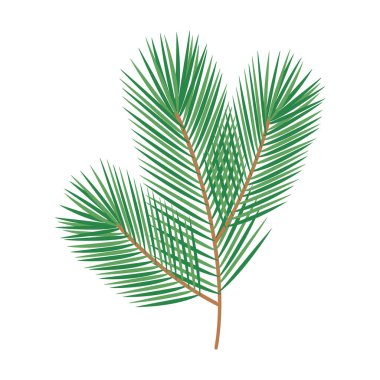 Tüylü çam dalı, şenlikli süsleme olmadan. Dekoratif unsur tematik kartlar veya broşür. Vektör illüstrasyonu selamlama veya davet, poster, el ilanı, afiş veya web, tanıtım, fiyat etiketi, etiket