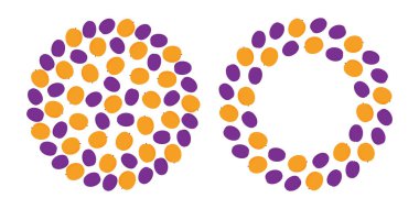 Erikler ve kayısılar. Dairesel Arkaplan ve Yuvarlak çerçeve çerçeve kenarları. Uzay Şablonu 2 Yaz Sevgisi. İzole Vektör illüstrasyonu Sağlıklı Yemek Kartları, broşürler, poster veya web tanıtım afişi, etiket etiketi